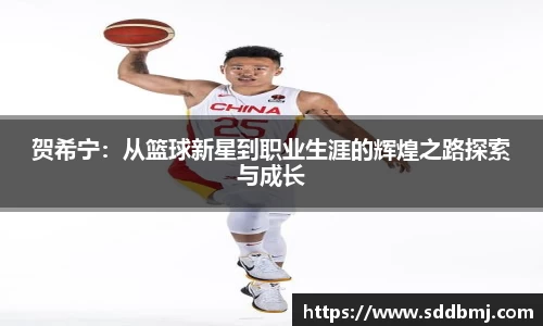 贺希宁：从篮球新星到职业生涯的辉煌之路探索与成长