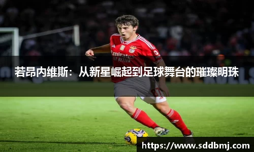 若昂内维斯：从新星崛起到足球舞台的璀璨明珠